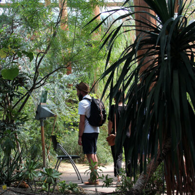 jardin botanique Bordeaux