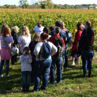 découverte vignoble Bordeaux avec enfants