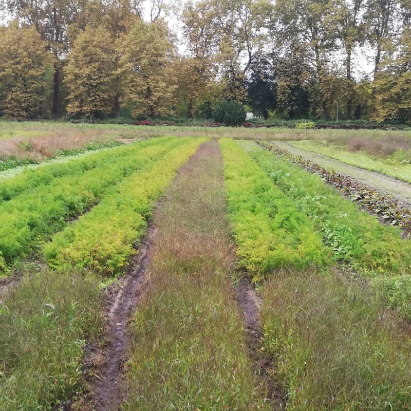 la ferme du ruisseau le Haillan