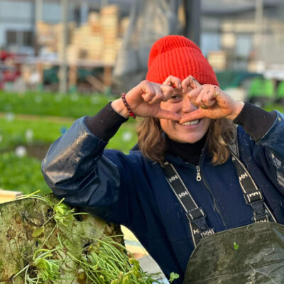 Mes courses à la ferme, produits frais et locaux