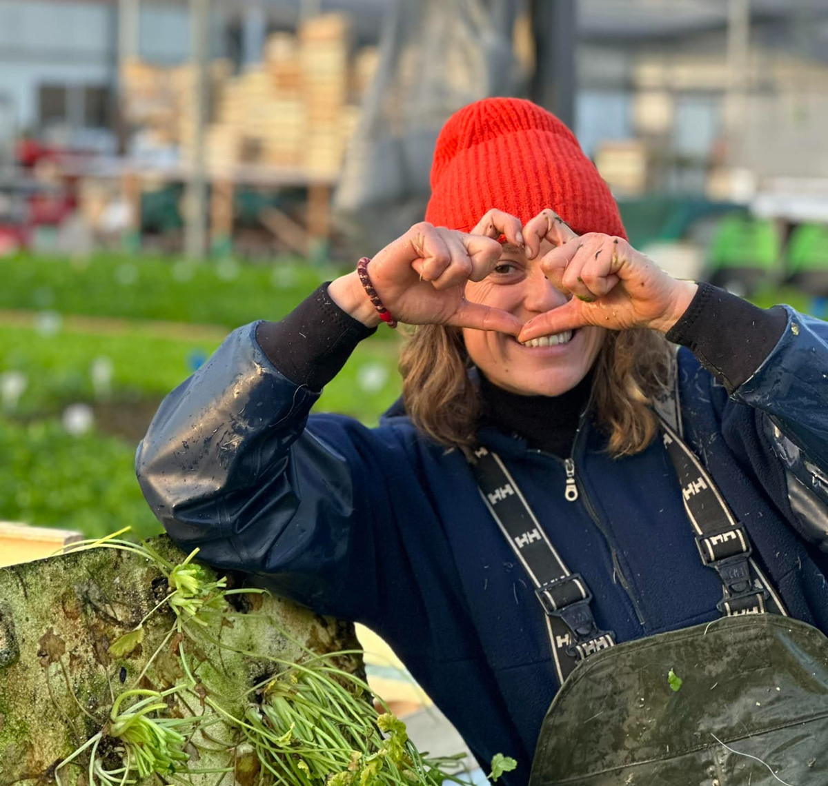 Mes courses à la ferme, produits frais et locaux