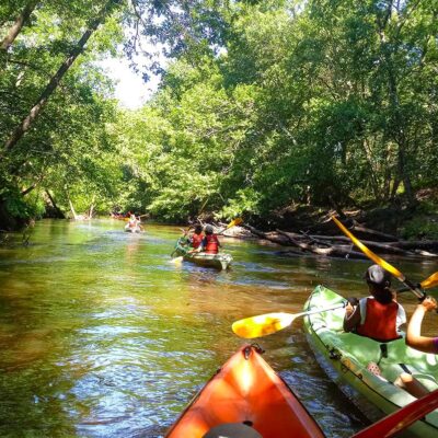 canoe leyre landes