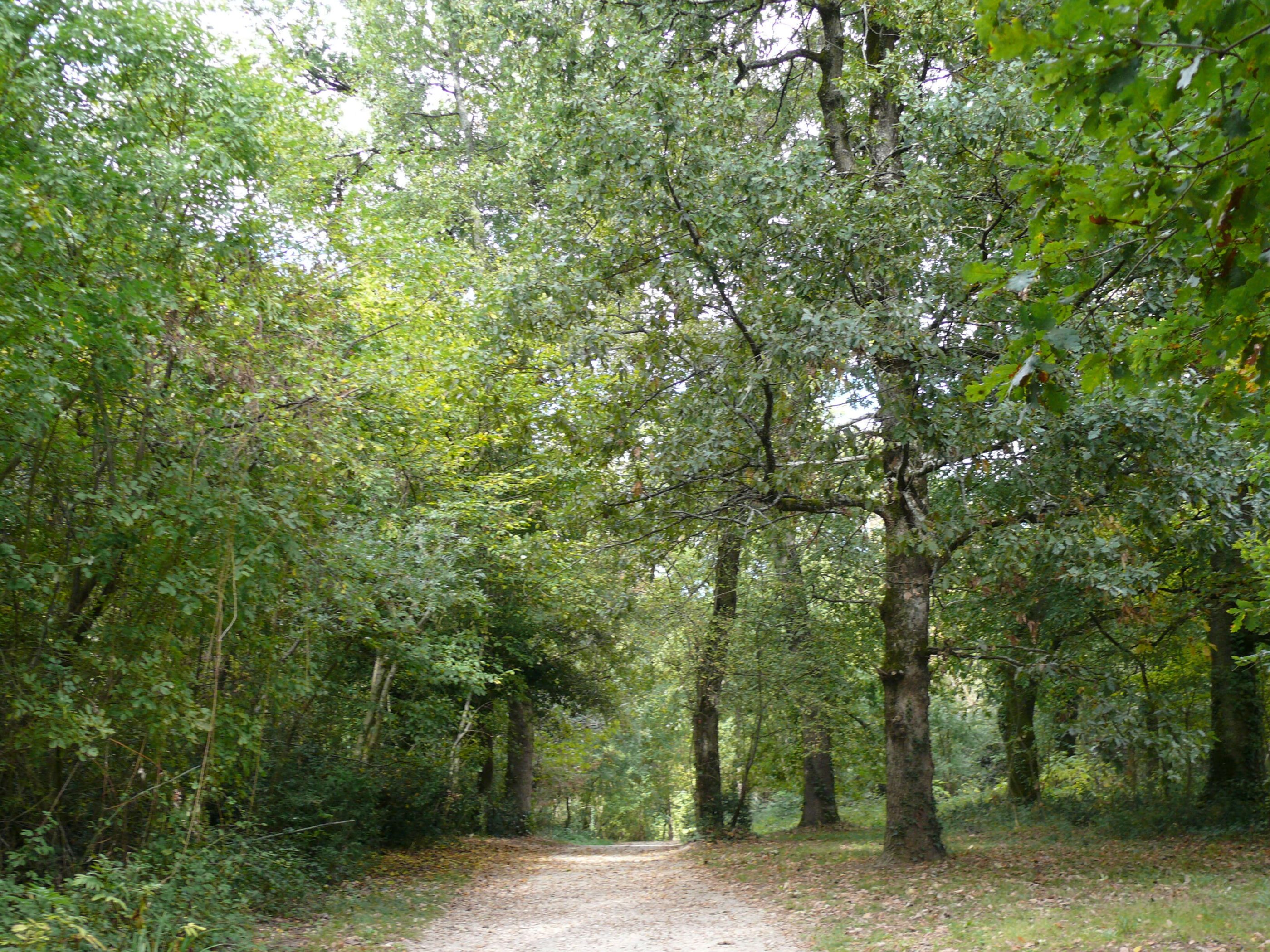 Domaine de la Burthe Floirac