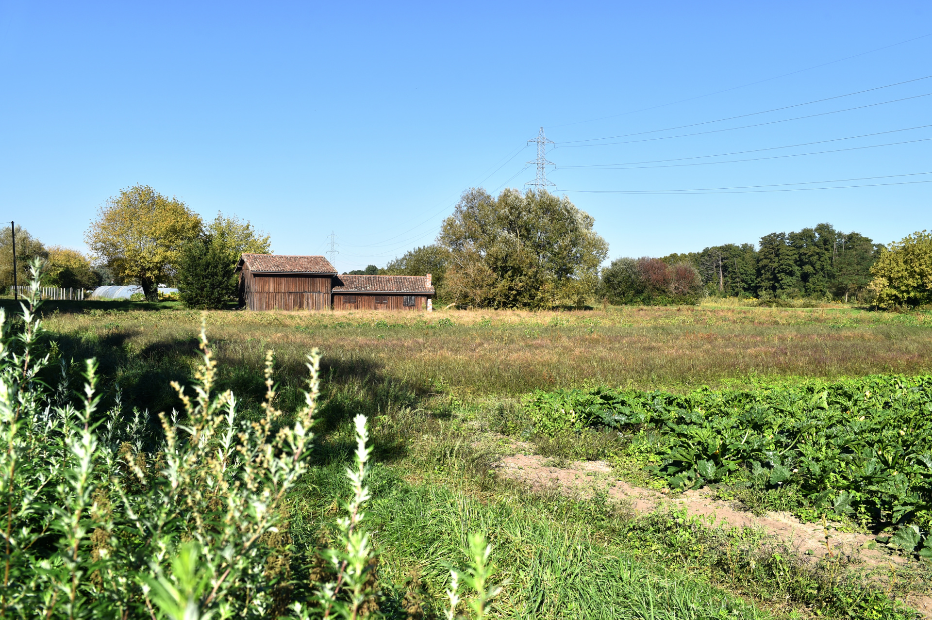 Zone maraîchère des Jalle