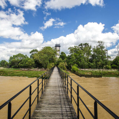 les îles de l'estuaire de la Gironde