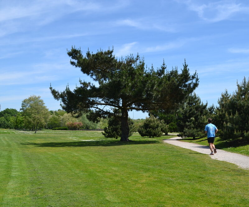 Domaine du Pinsan Eysines