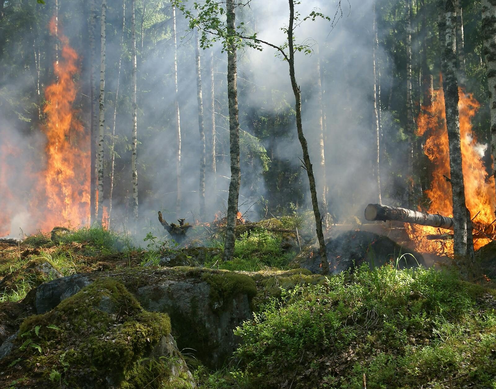 Les bons réflexes pour éviter les départs de feu