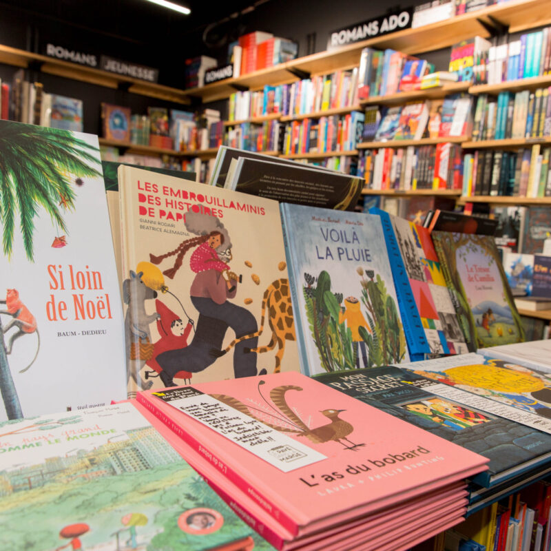 Pavé dans la marge, librairie à Mérignac