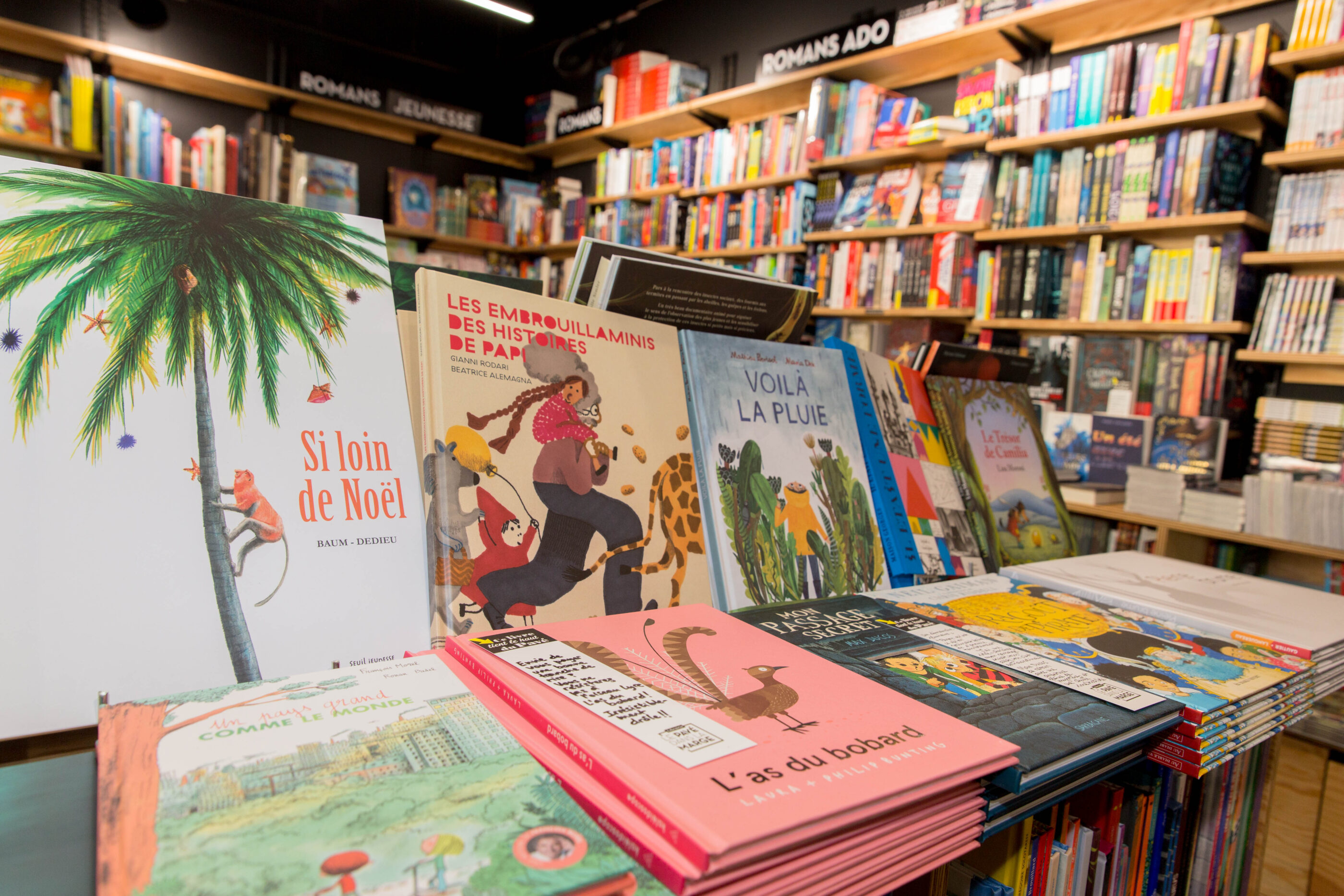 Pavé dans la marge, librairie à Mérignac