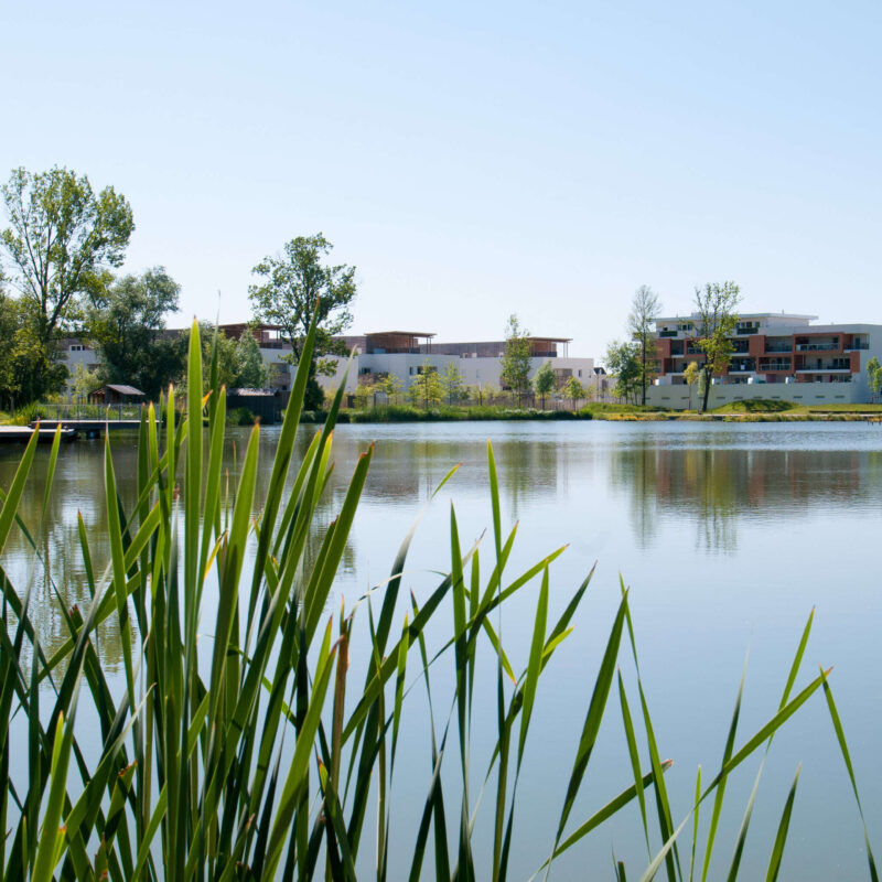 Parc des étangs à Floirac