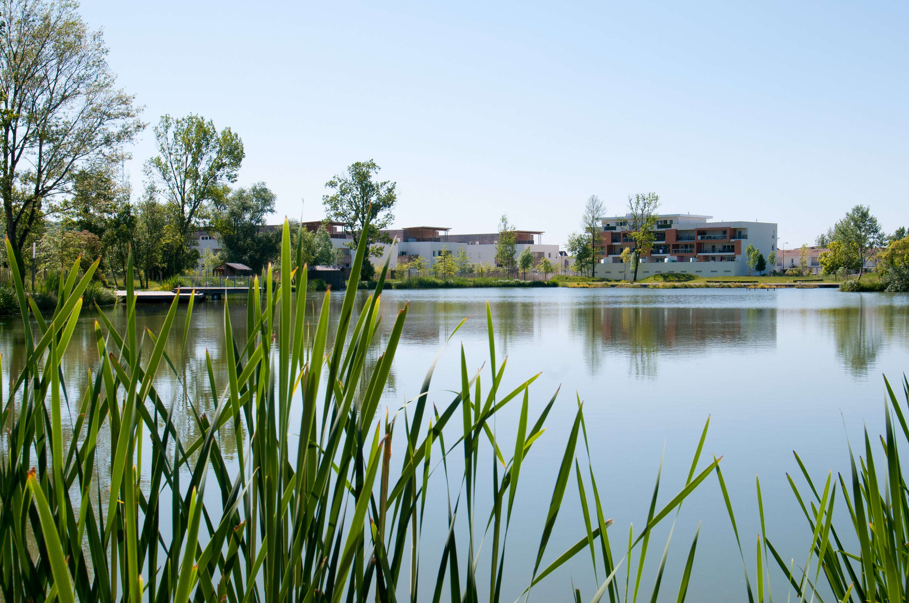 Parc des étangs à Floirac