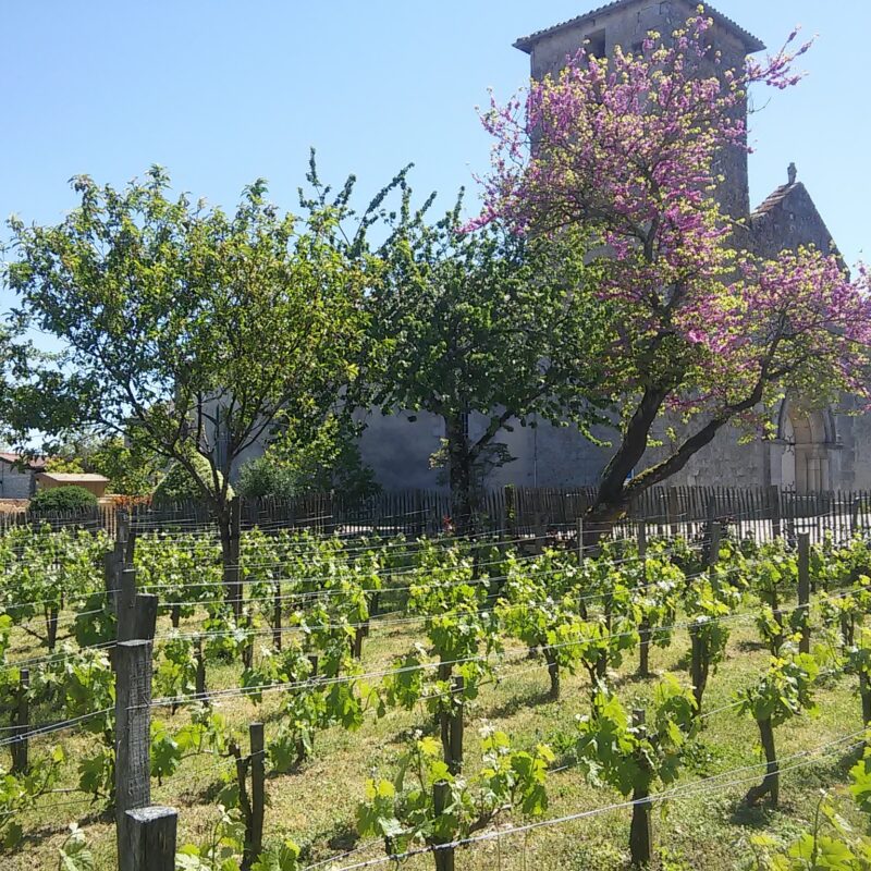 Balade à Saint-Aubin-de-Médoc