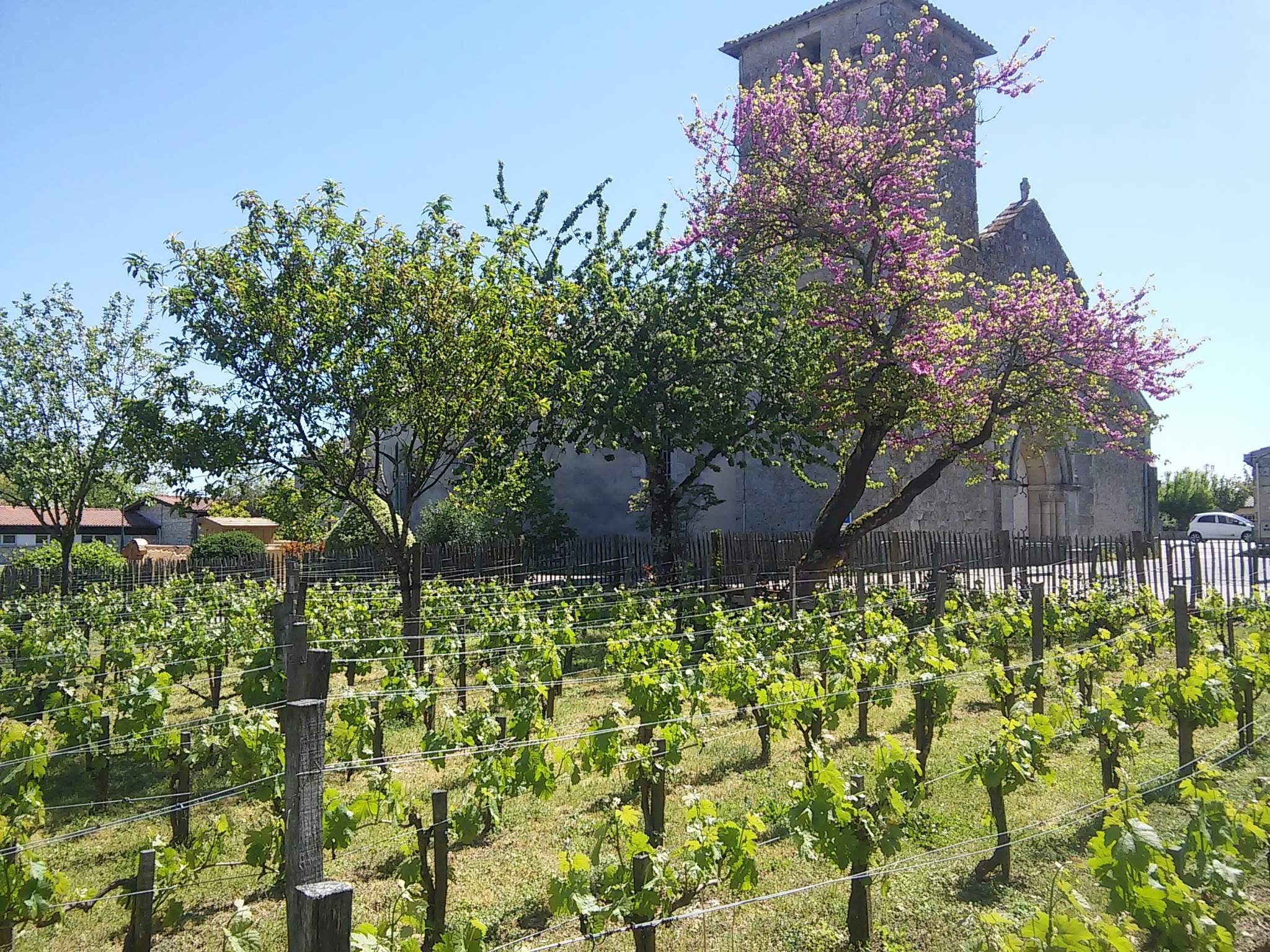 Balade à Saint-Aubin-de-Médoc